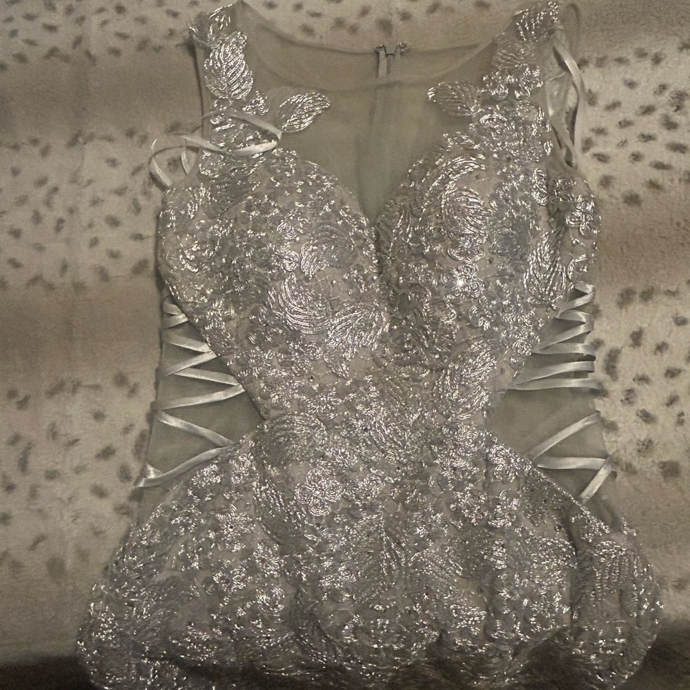 Silver Lace and Tulle Dress - Picture 3 of 5